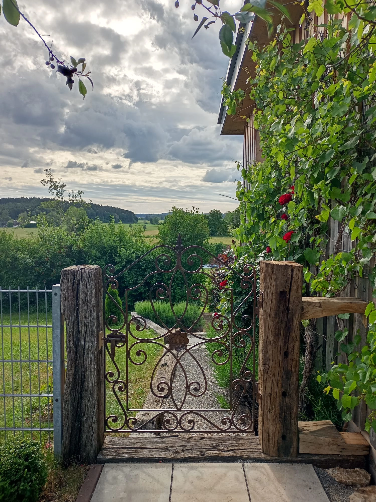 Außenbereich und Umgebung